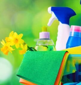 Limpieza hogares, cuidado niños.