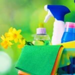 Limpieza hogares, cuidado niños.