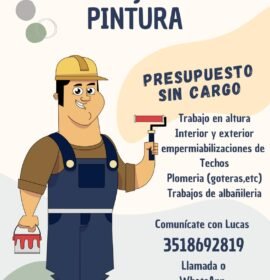 Pintor de exterior e interiores e impermiabilizacion de techos