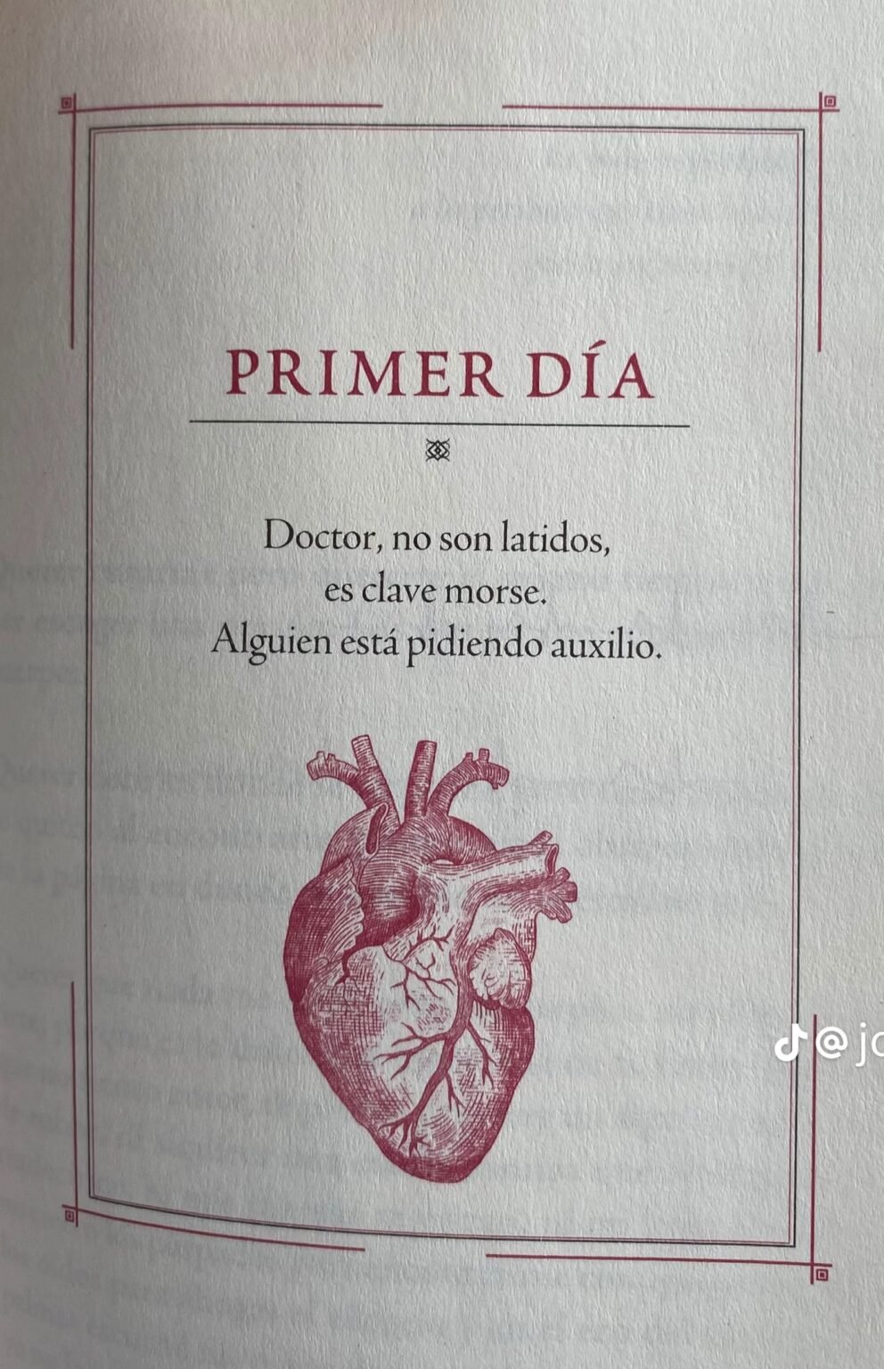 Acompañante Terapéutico