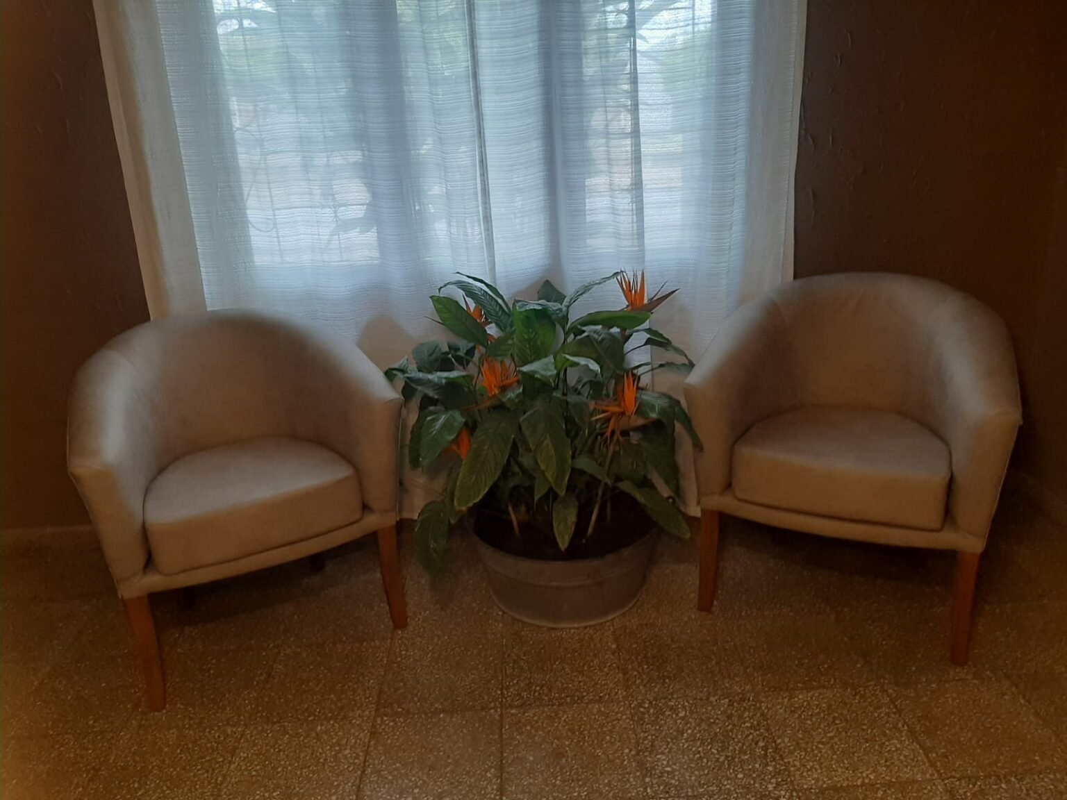 Tapicería