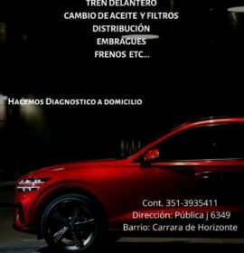 Tren Delantero_ Mecánica gral