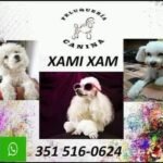 Peluquería canina Xamixam
