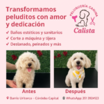 Calista Peluquería canina