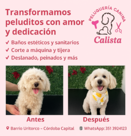Calista Peluquería canina