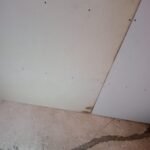 Pinturas mantenimiento gral albañilería