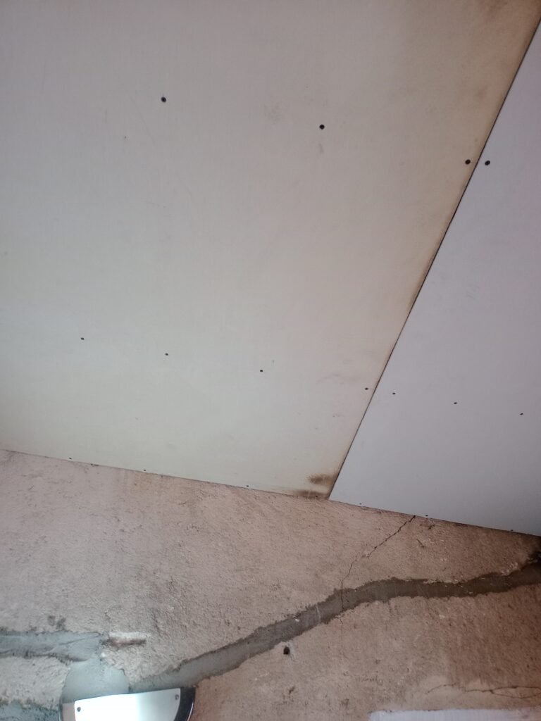 Pinturas mantenimiento gral albañilería