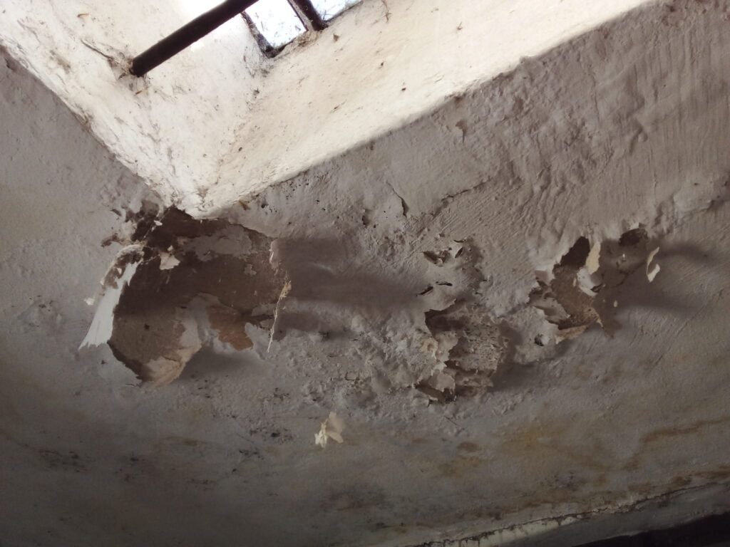 Charlie.soluciones para tu casa