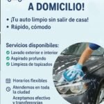 lavado de autos a domicilio