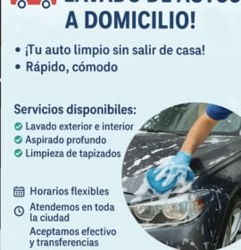 lavado de autos a domicilio