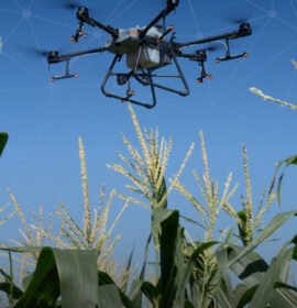 Diseño gráfico y publicitario