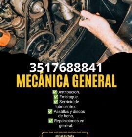 Servicio mecánico automotriz a domicilio