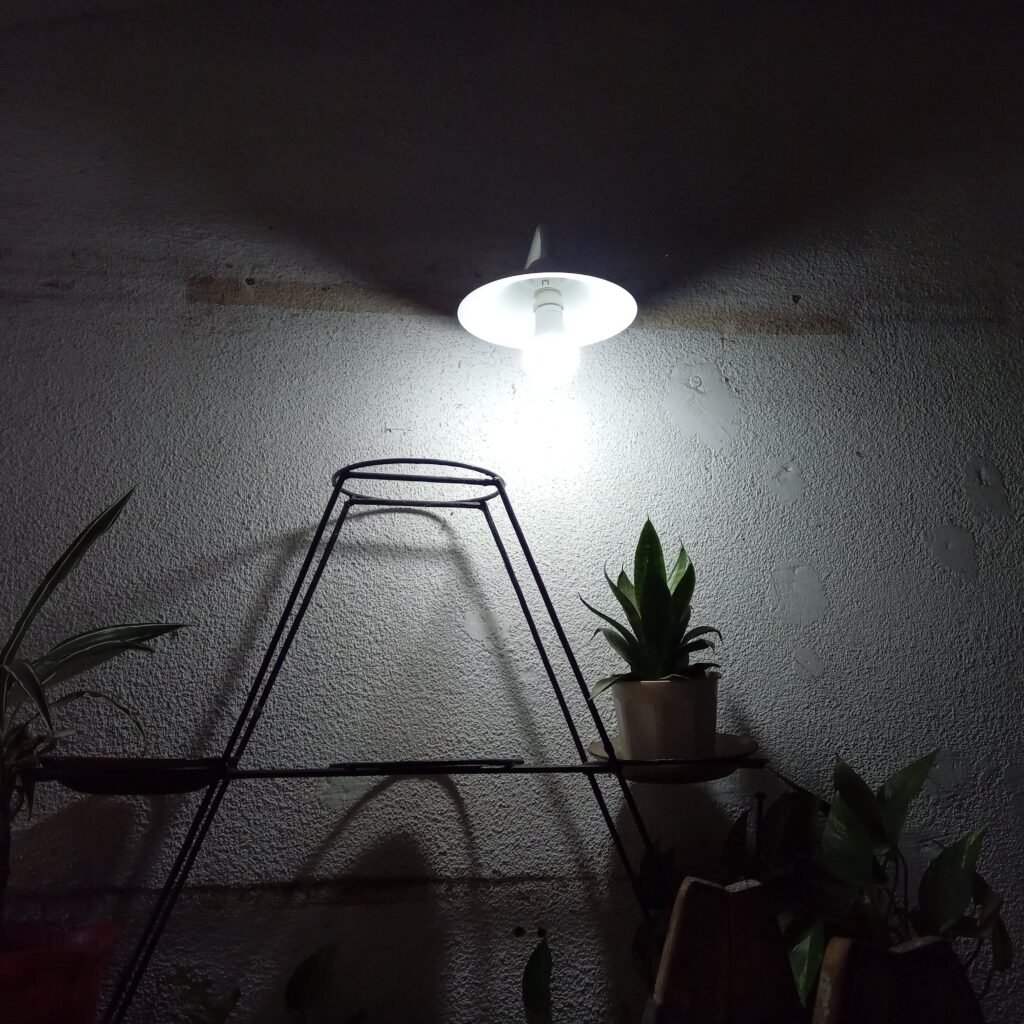 Electricista