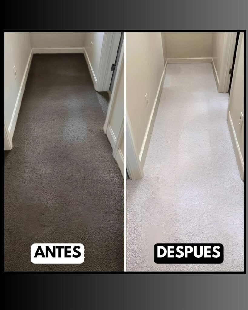 LavaTapizados y Interiores de Aut