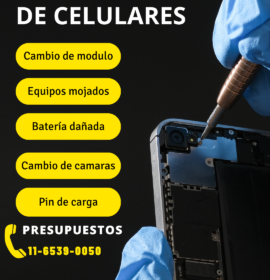 Servicio técnico en refrigeración lavarropa secarropa y técnico en celulares