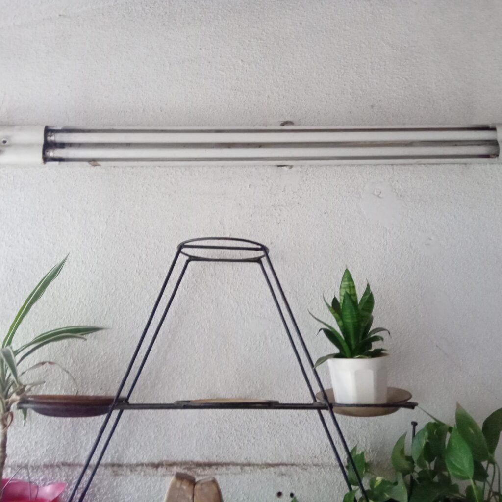 Electricista