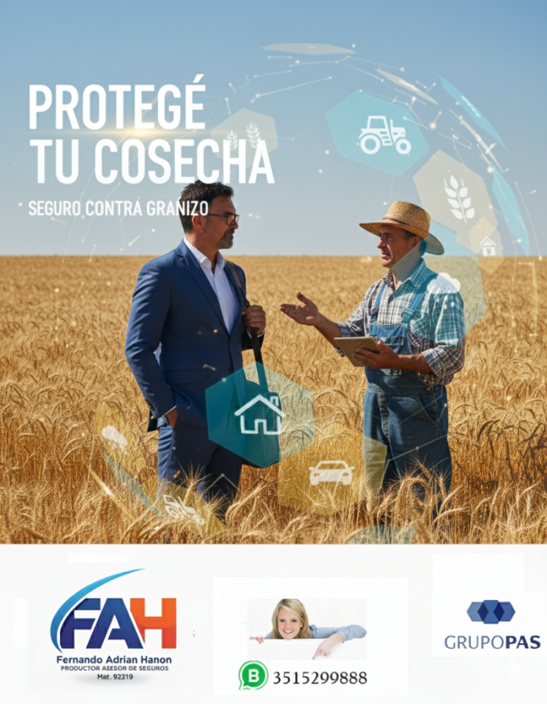 Productor asesor de seguros