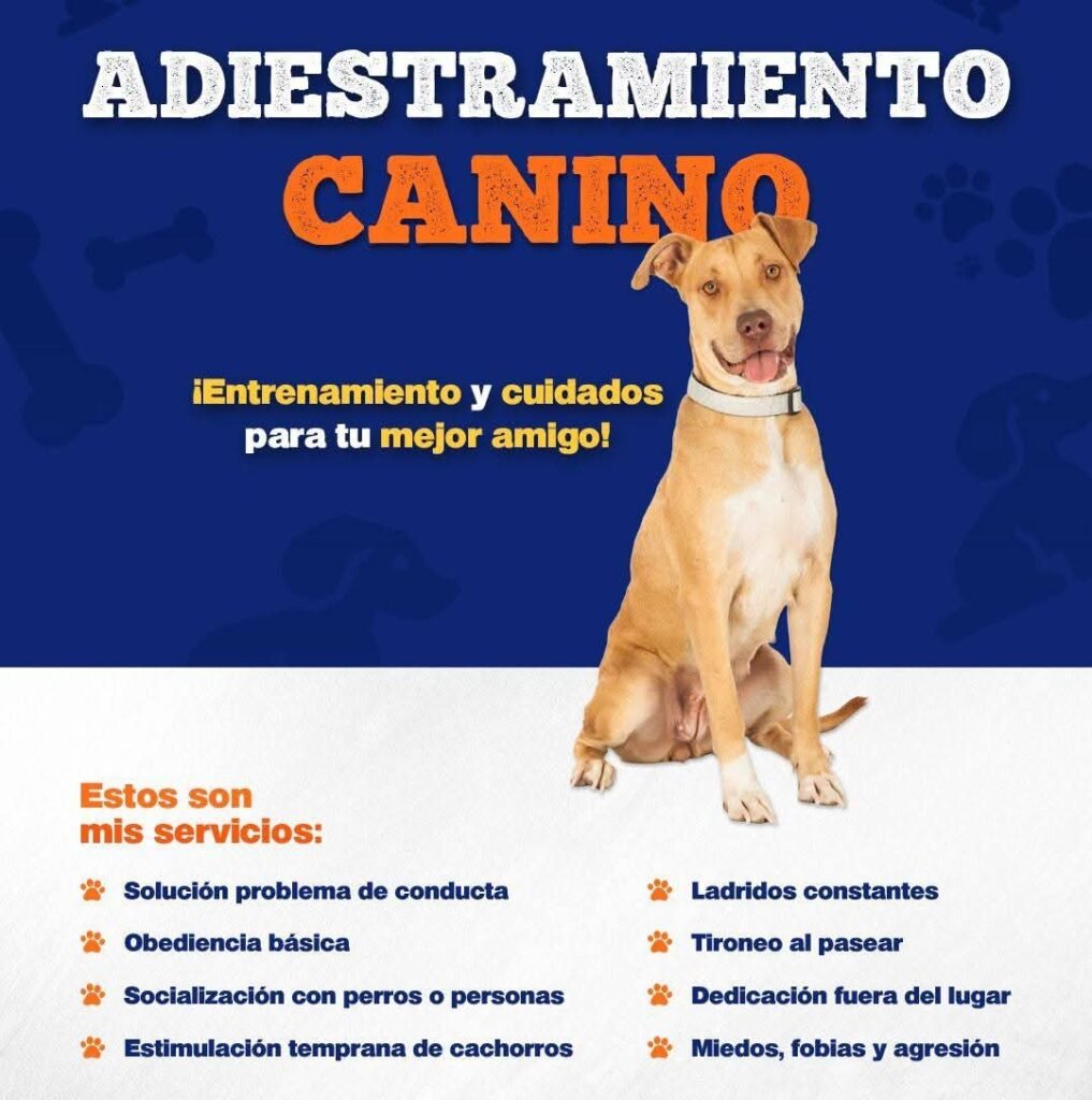 Adiestramientos caninos