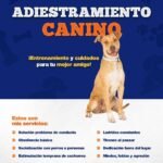 Adiestramientos caninos