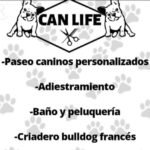 Adiestramientos caninos