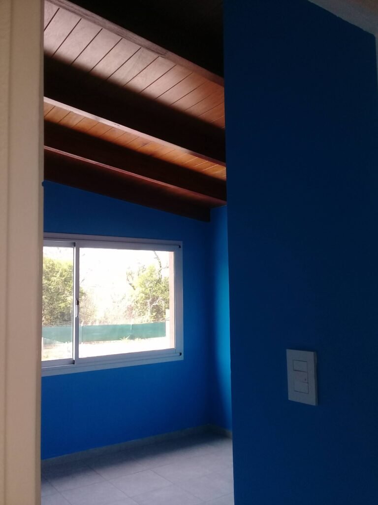 Pintor de casas