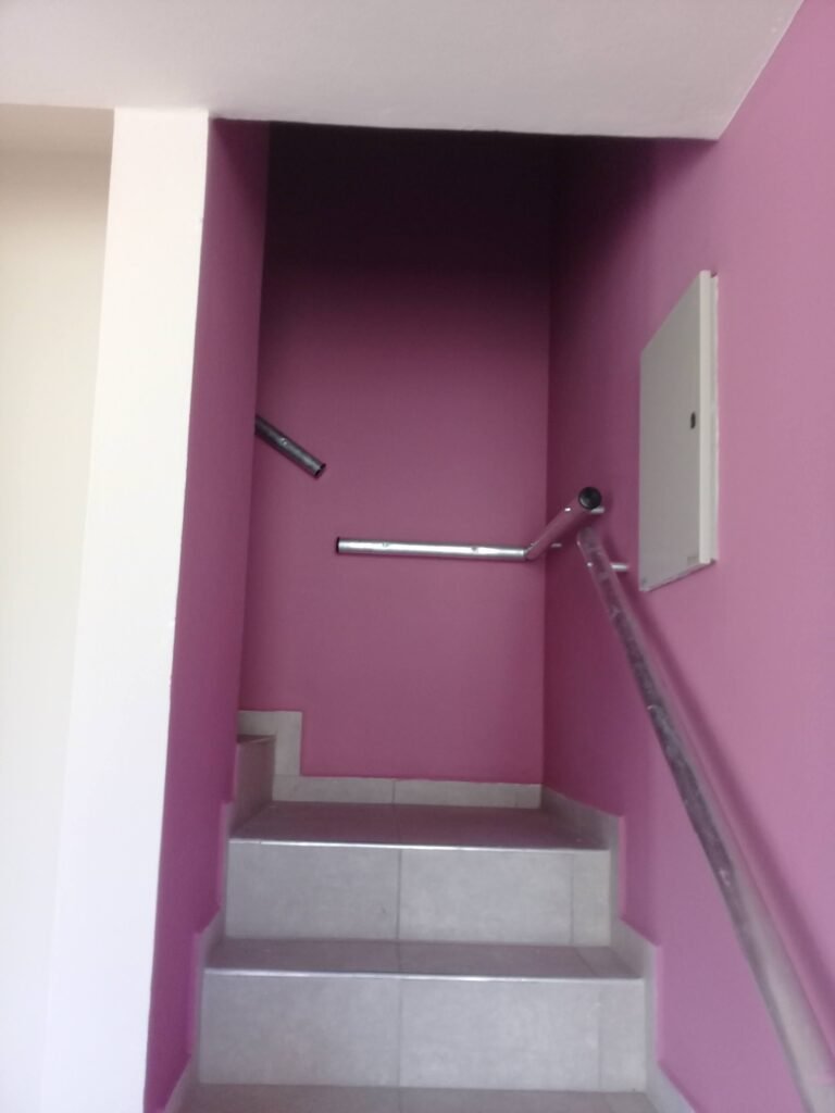 Pintor de casas