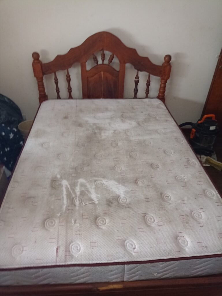 Temiz limpieza de tapizados a domicilio