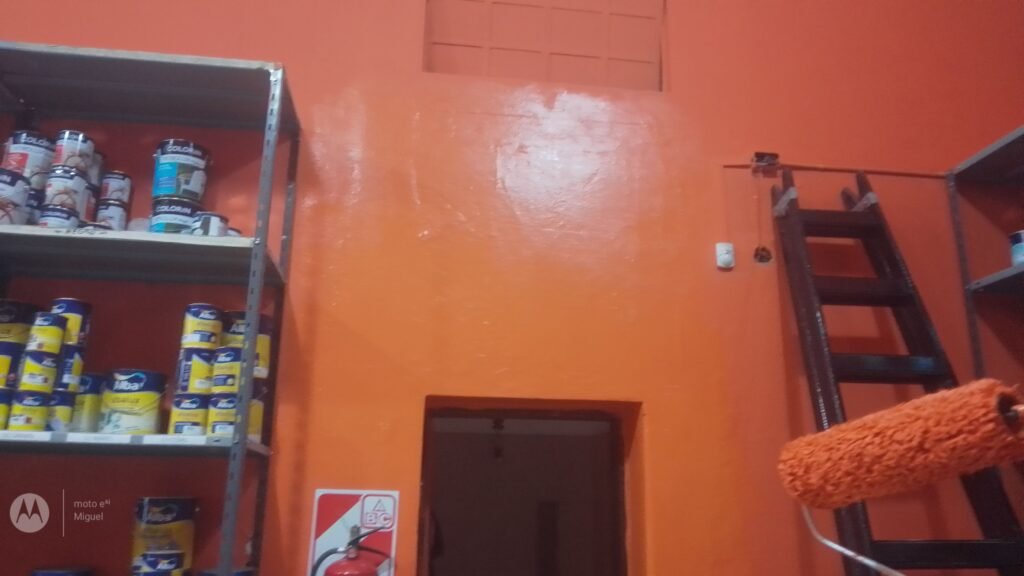 Pintura de casa