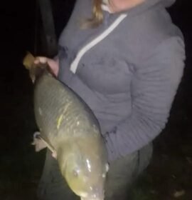 Alquiler de cabañas en islas del delta