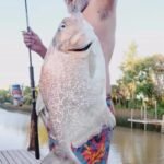 Alquiler de cabañas en islas del delta