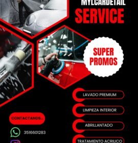 Lavado de Vehículos