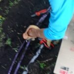 NMB SERVICIOS ESPECIALES NMB SERVICIOS ESPECIALES