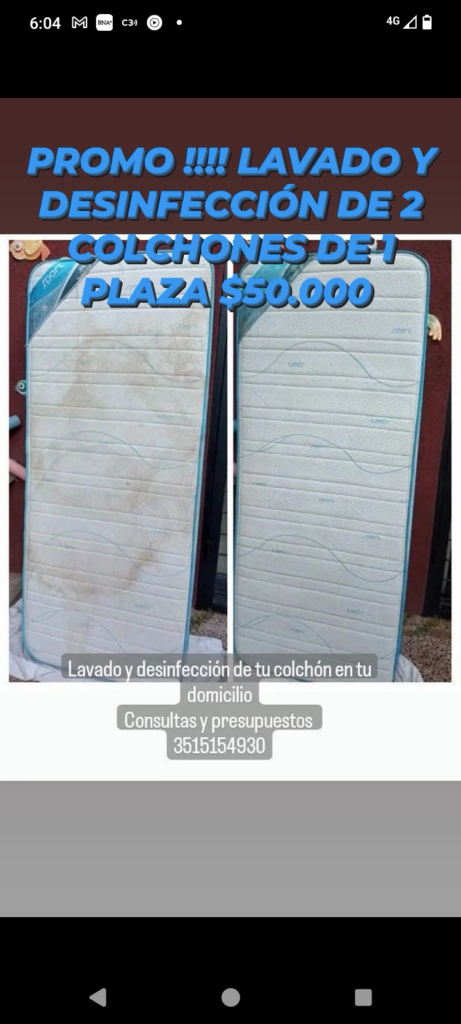 Limpieza de tapizados y alfombras
