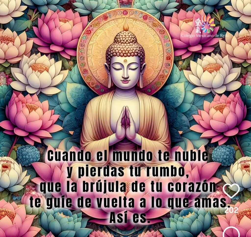 Yoga , mat y meditación