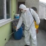 Control de plagas desinfecciones Control de plagas desinfecciones