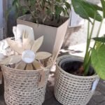 Showroomelpueblo Showroomelpueblo