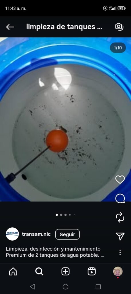 Control de plagas desinfecciones