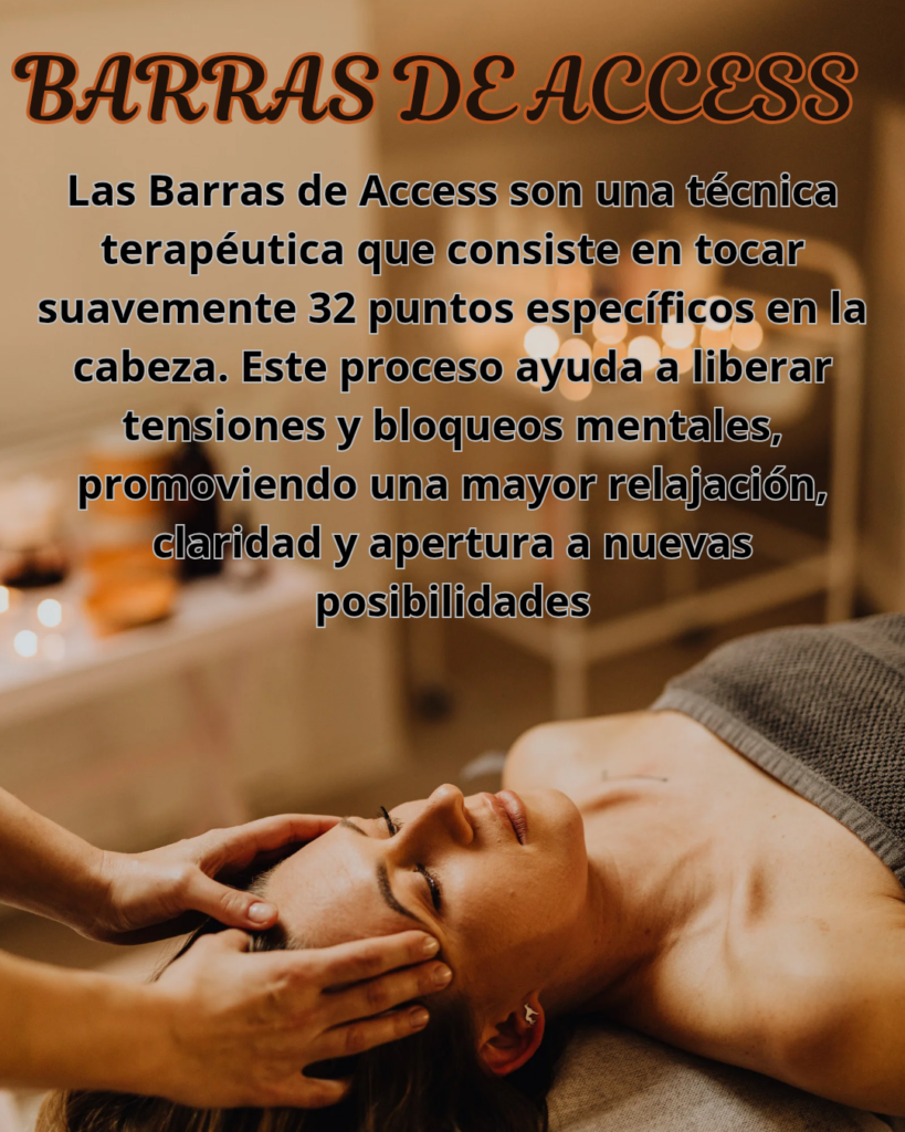 Barras De Access