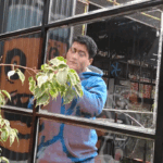 Vidriero