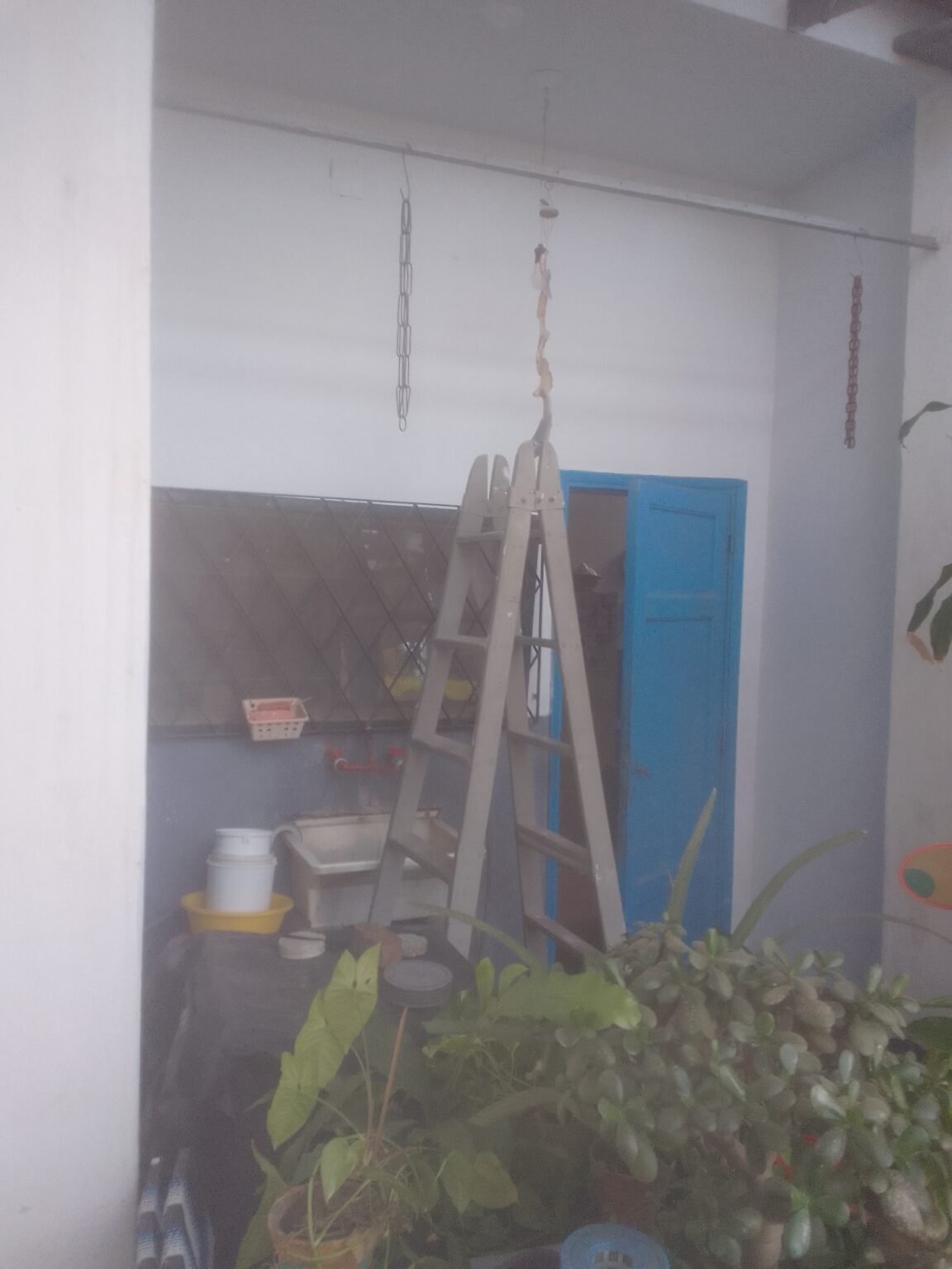 Pintura en general, servicios y m