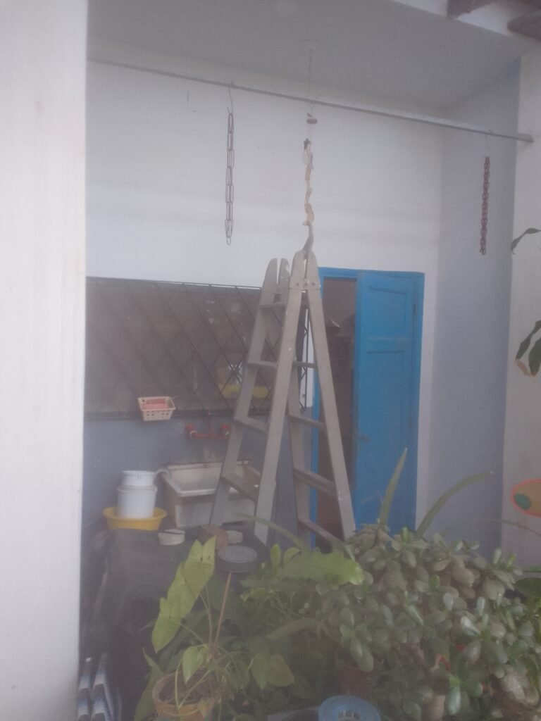 Pintura en general, servicios y m