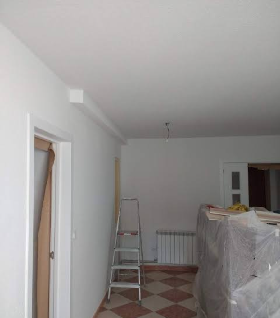 Pintura y albañilería
