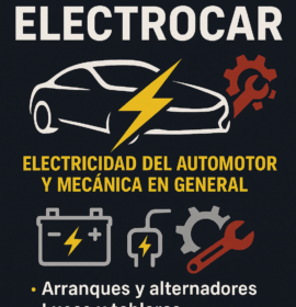 Electeicidad del automotor