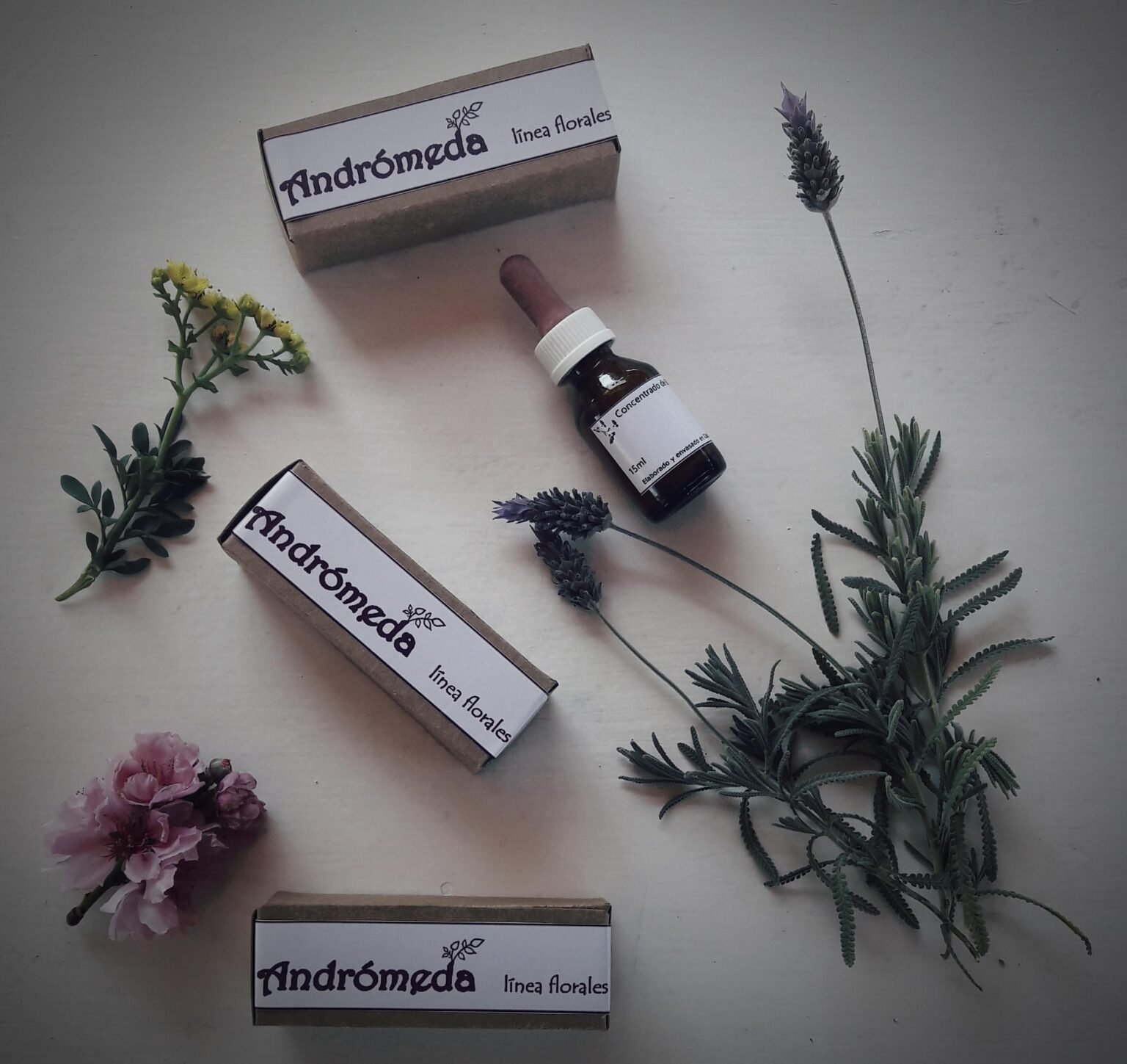Terapeuta holística