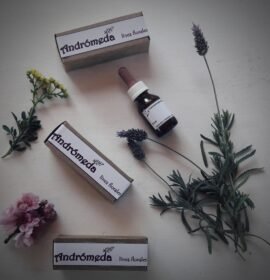 Terapeuta holística