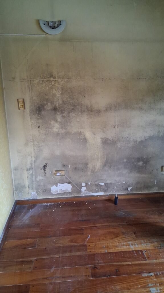 PINTOR DE CASAS