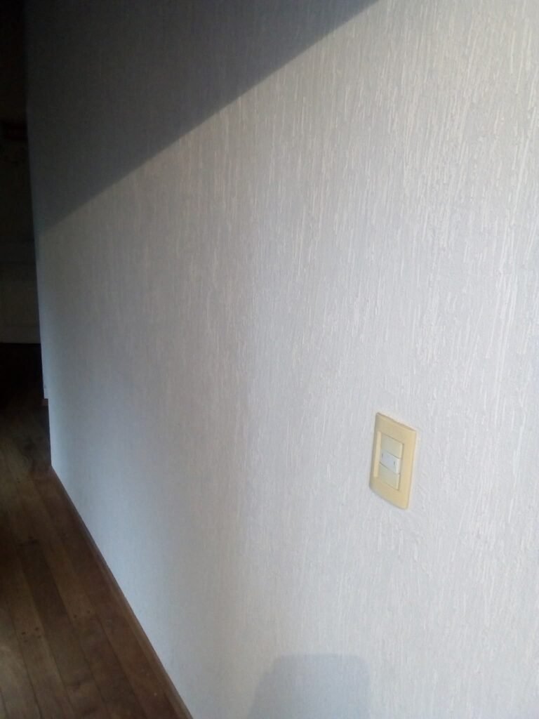 Pintura profesional