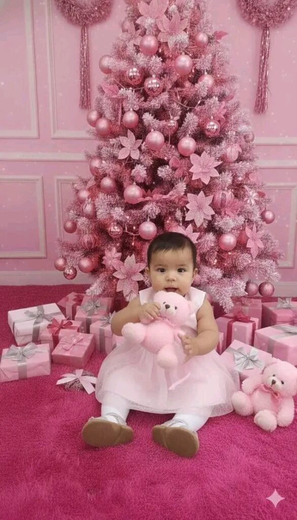 Realizo Fotos Navideñas Y Lavo Ro
