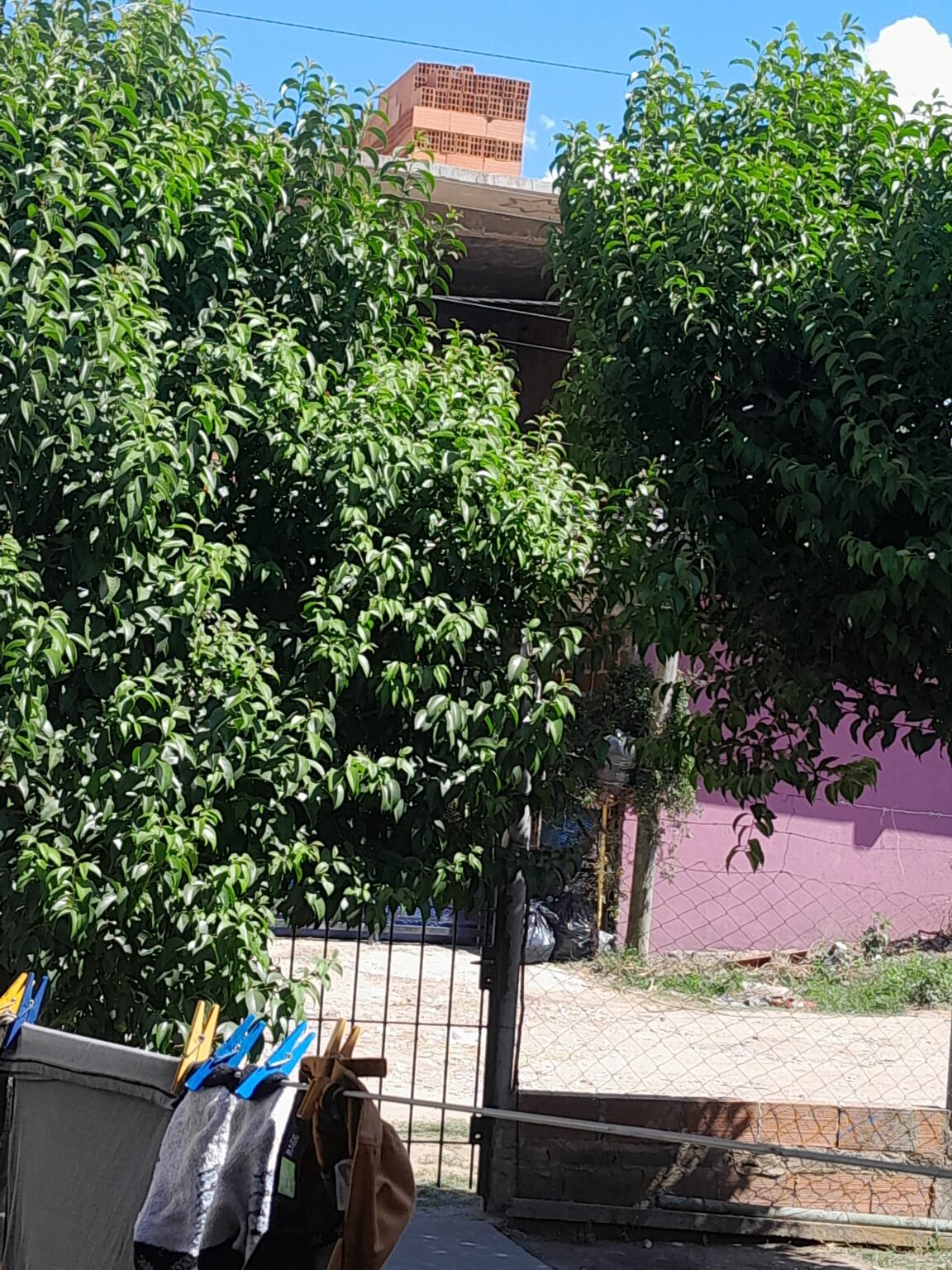 Albañilería en general