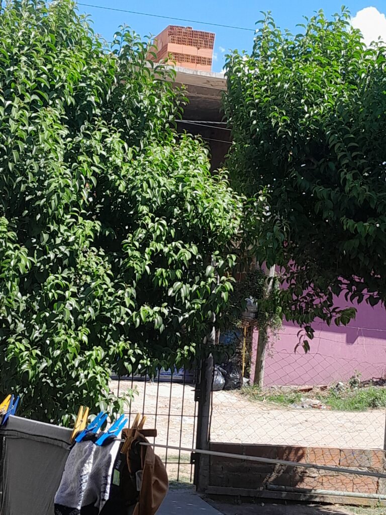 Albañilería en general